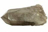 Massive, Natural Smoky Quartz Crystal - Brazil #219217-4